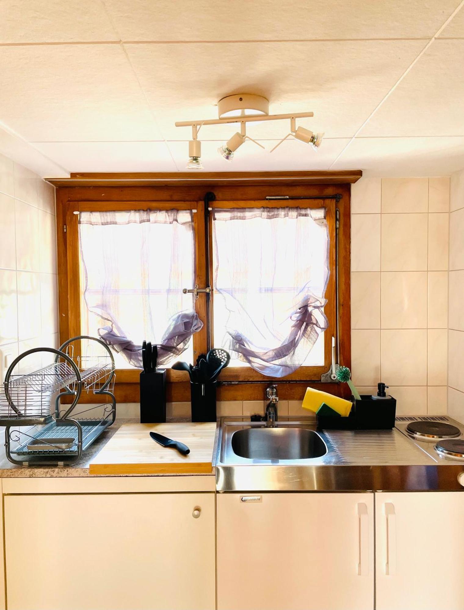 Charming, Well-Equipped Alpine Apartment Кандерштег Екстер'єр фото